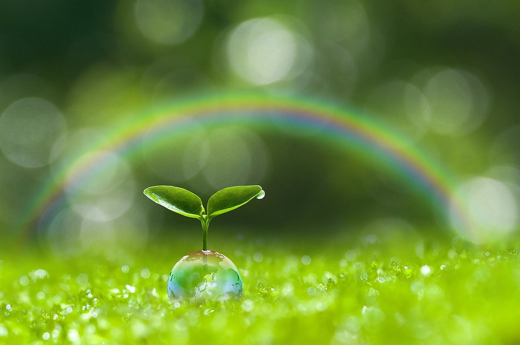 双葉虹クリーンなイメージ